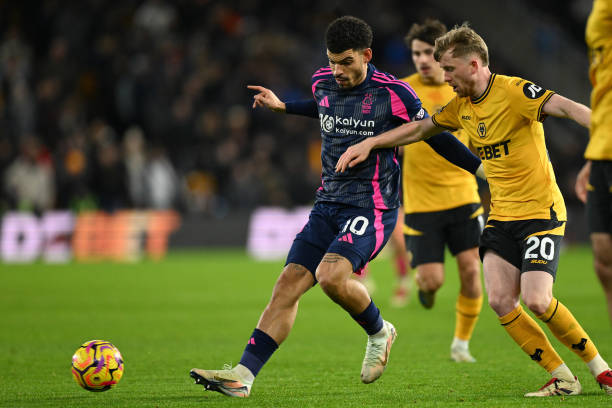 案例分析 案例分析