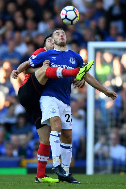 尖的年轻球 尖的年轻球