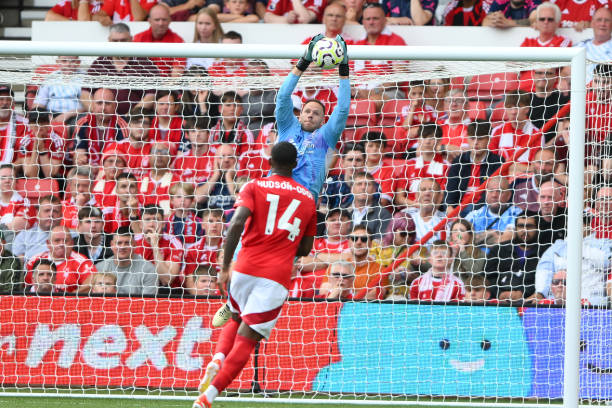 本文将深入 本文将深入