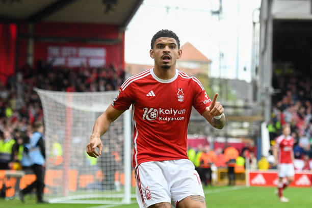 这或许是曼 这或许是曼