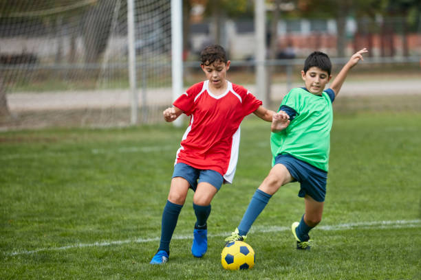 的影响分析 的影响分析