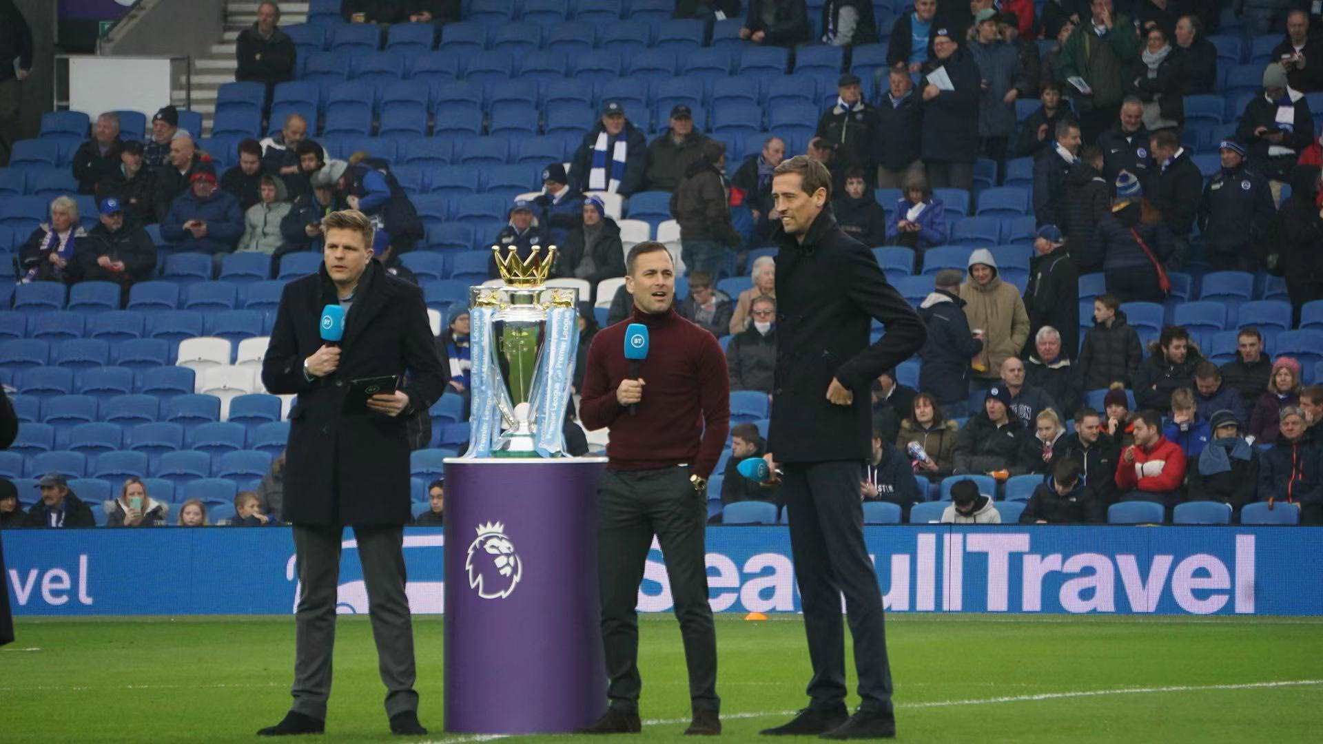 毛球整体实 毛球整体实